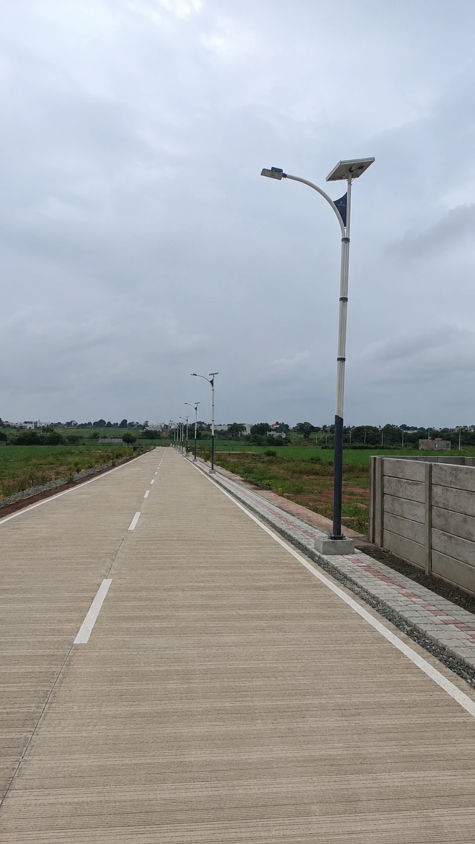 Lotus Park Concrete Roads & Solar Lighting
